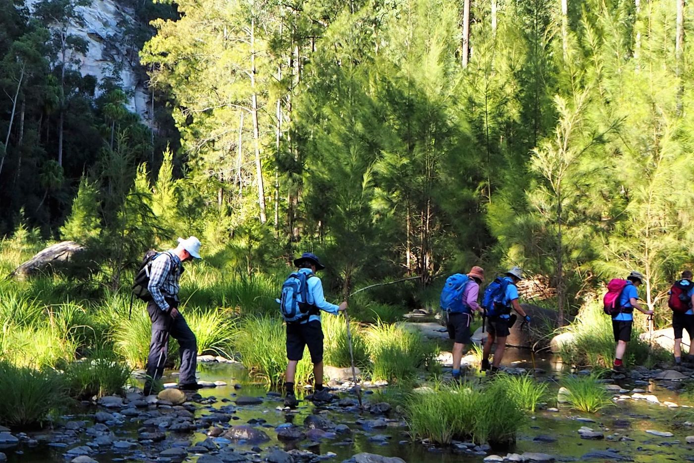 Carnarvon gorge, group hikers .jpg